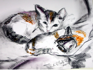 Hartmuts Katze